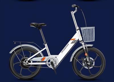 十大电动自行车品牌名单(中国哪个品牌的电动自行车质量比较好)