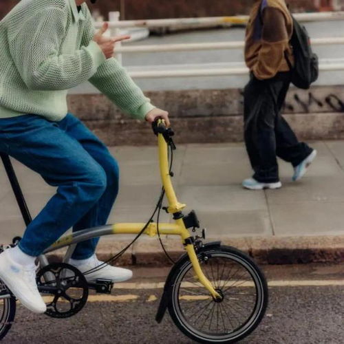 春日首选户外运动,palace x brompton bicycle自行车本周登场